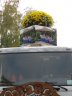 Winzerfestumzug